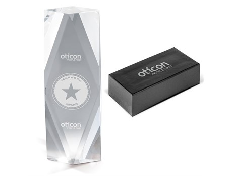 Tesla Tower Award - Image 3