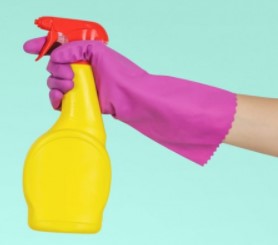 BLACK JAYS (5L / kg)